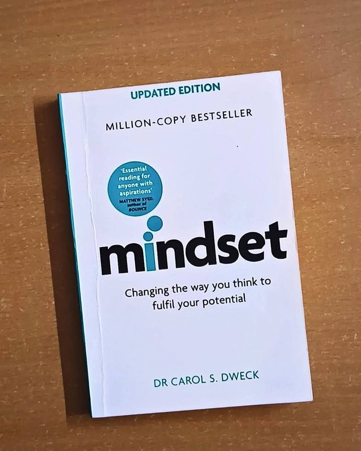 Mindset book
