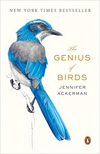 “The Genius of Birds” – Jennifer Ackerman