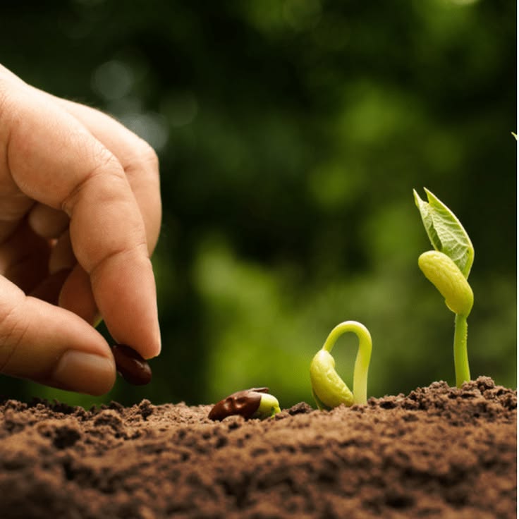 How to Harness The Power of the Past: Rural Mom