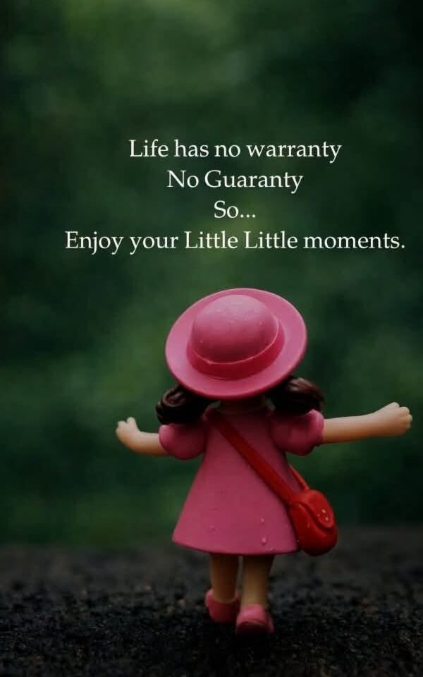 Real Meaning of Life